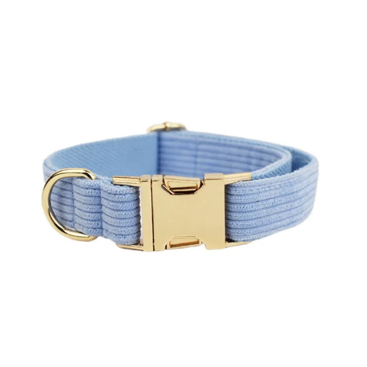 Collier chien velours côtelé bleu ciel, boucle dorée