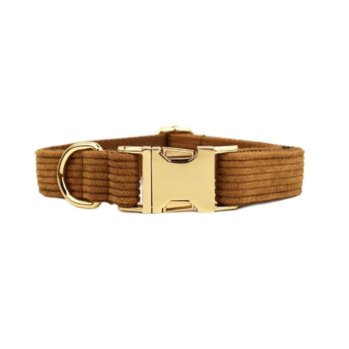 Collier chien velours côtelé camel, boucle dorée