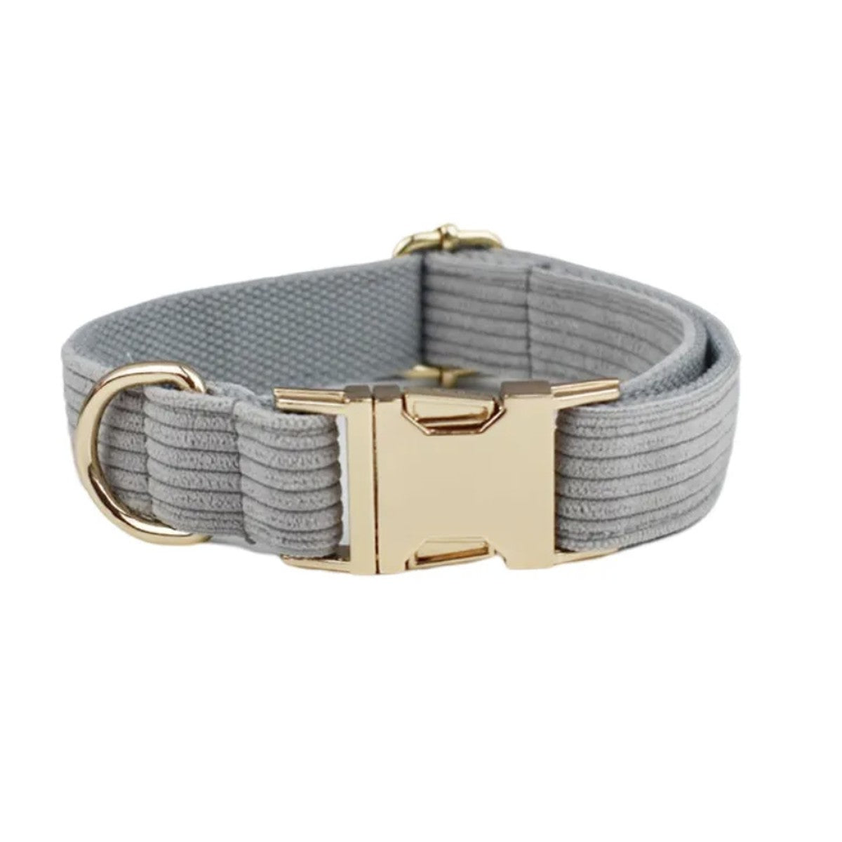 Collier chien velours côtelé gris, boucle dorée