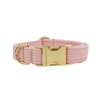Collier chien velours côtelé rose poudré, boucle dorée
