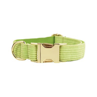 Collier chien velours côtelé vert pistache, boucle dorée