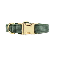 Collier chien velours côtelé vert sapin, boucle dorée