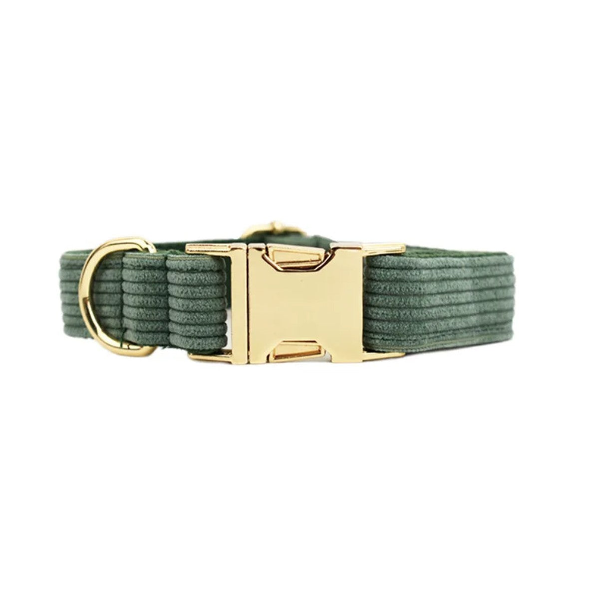 Collier chien velours côtelé vert sapin, boucle dorée
