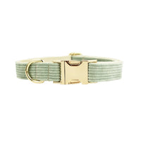 Collier chien velours côtelé vert sauge, boucle dorée